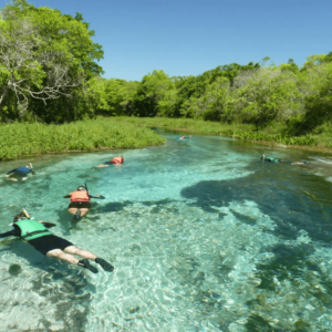 Barra do Sucuri - Flutuação